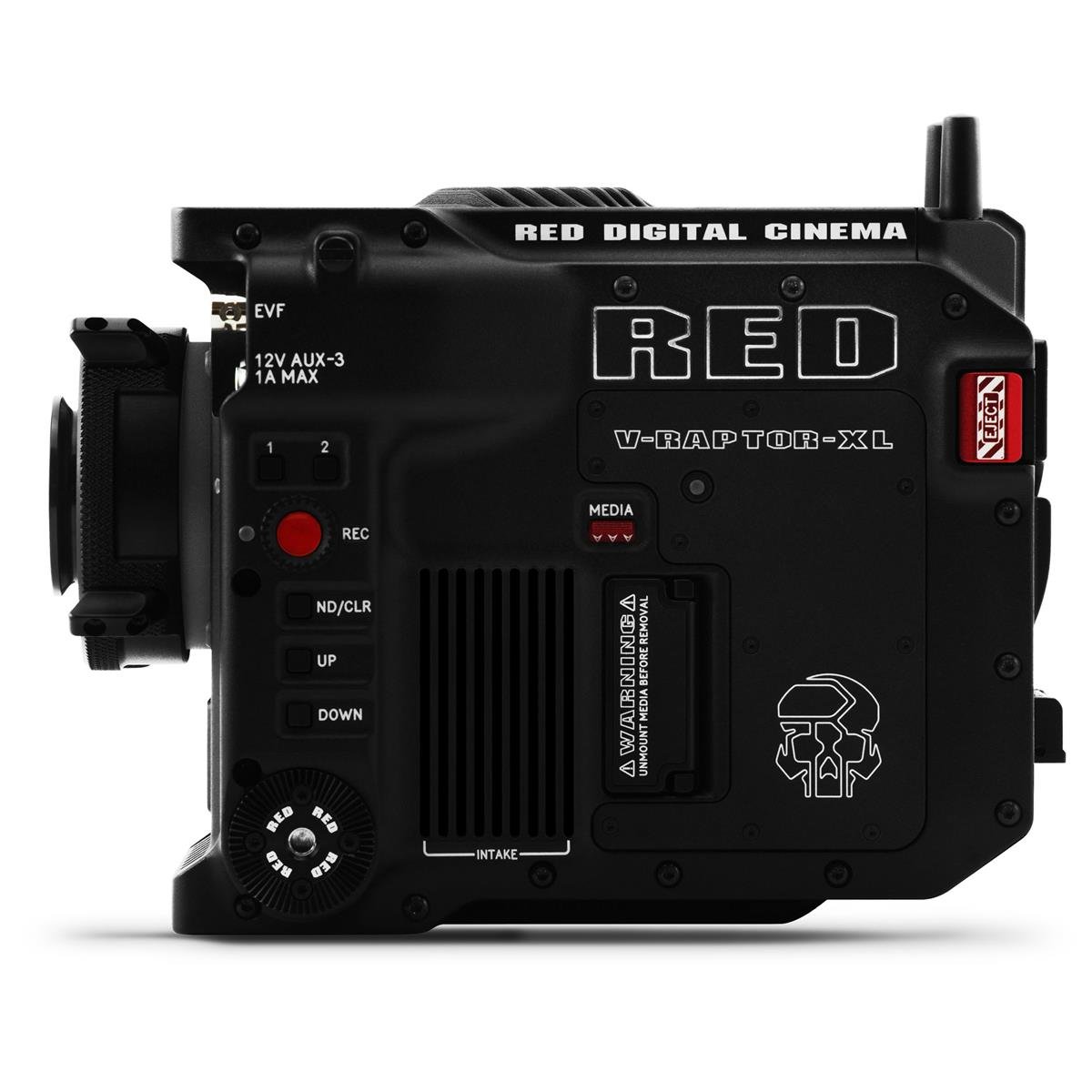 Red Digital Cinema V-RAPTOR XL 8K VV Cinema Camera, Gold Mount